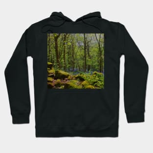 Bluebell Valley Hoodie